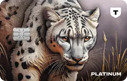 Т-Банк Платинум
