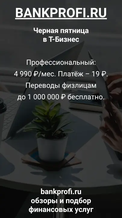 Профессиональный: 4 990 ₽/мес. Платёж – 19 ₽. Переводы физлицам до 1 000 000 ₽ бесплатно.
