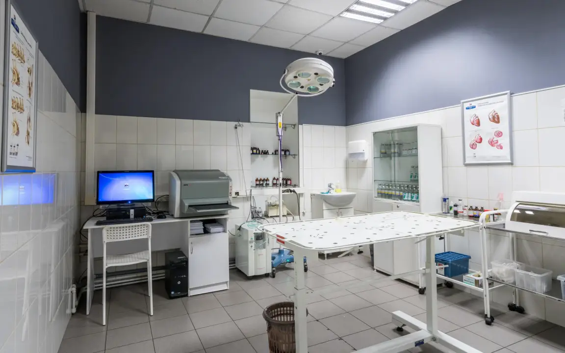 Оборудованная ветклиника