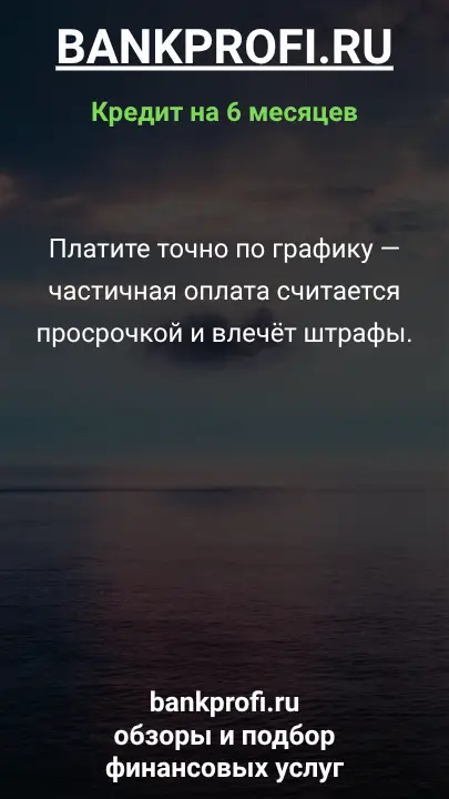 Платите точно по графику — частичная оплата считается просрочкой и влечёт штрафы. Платите точно по графику — частичная оплата считается просрочкой и влечёт штрафы.