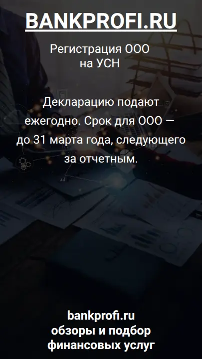 Декларацию подают ежегодно. Срок для ООО — до 31 марта года, следующего за отчетным.