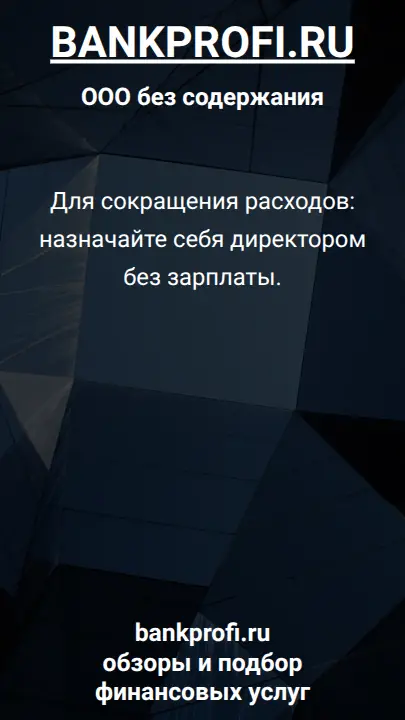 Для сокращения расходов: назначайте себя директором без зарплаты.