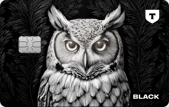 Дизайн «Сова»