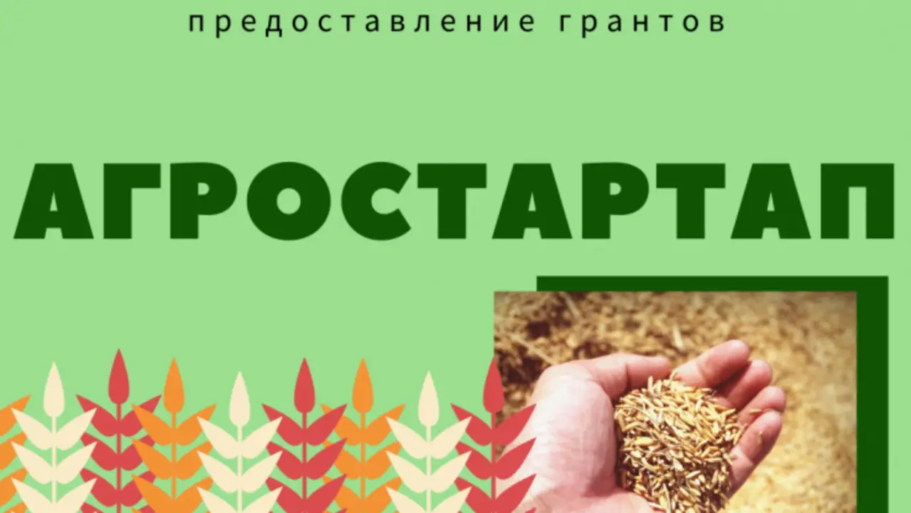 Агростартап