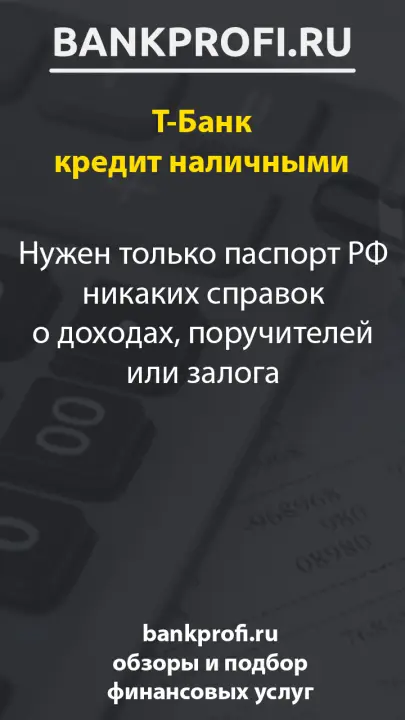 Нужен только паспорт РФ никаких справок о доходах, поручителей или залога