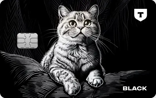 Карта с котом, Тинькофф