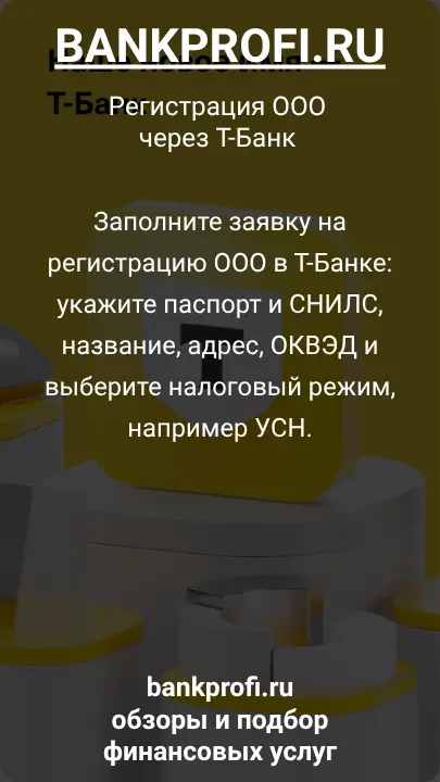 Заполните заявку на регистрацию ООО в Т-Банке: укажите паспорт и СНИЛС, название, адрес, ОКВЭД и выберите налоговый режим, например УСН.