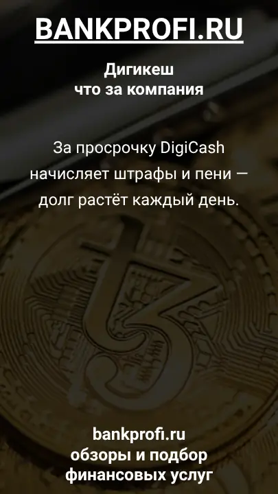 За просрочку DigiCash начисляет штрафы и пени — долг растёт каждый день.