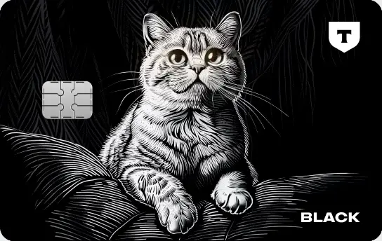 Дизайн «Котик»