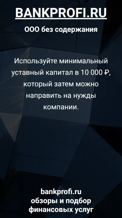 Используйте минимальный уставный капитал в 10 000 ₽, который затем можно направить на нужды компании.