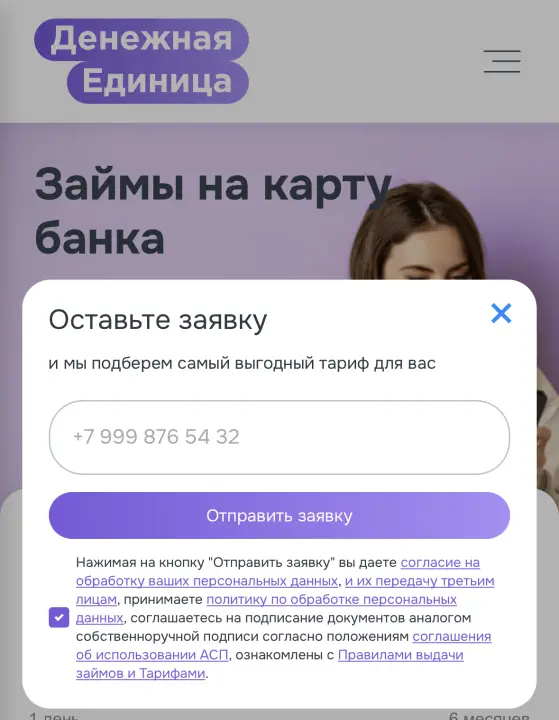 МКК Денежная единица оформление займа