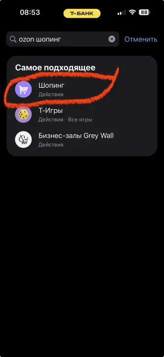 Найдите Ozon шоппинг в приложении Т-Банк