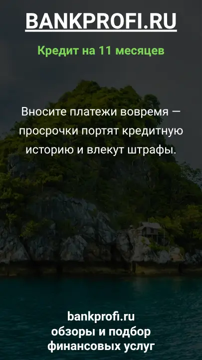 Вносите платежи вовремя — просрочки портят кредитную историю и влекут штрафы.