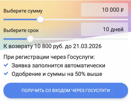 Можно оформить займ через ГосУслуги