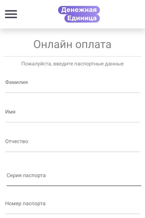 Оплата займа в МКК Денежная единица