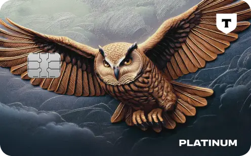 Дизайн с совой