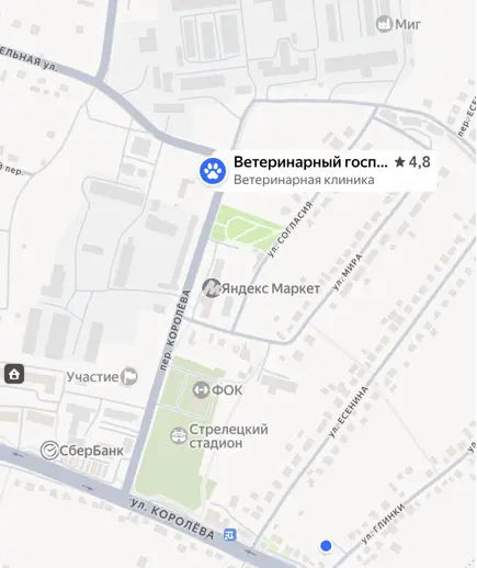 Локация ветклиники