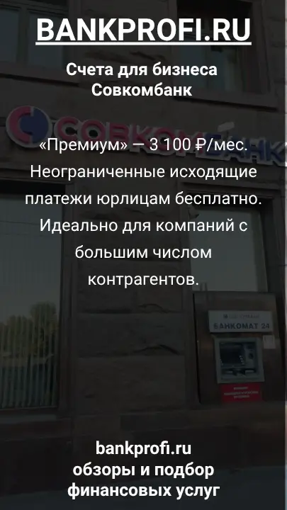 «Премиум» — 3 100 ₽/мес. Неограниченные исходящие платежи юрлицам бесплатно. Идеально для компаний с большим числом контрагентов.