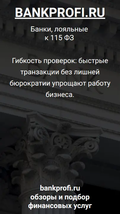 Гибкость проверок: быстрые транзакции без лишней бюрократии упрощают работу бизнеса.