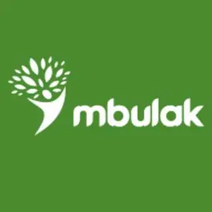 ООО «МКК М Булак»