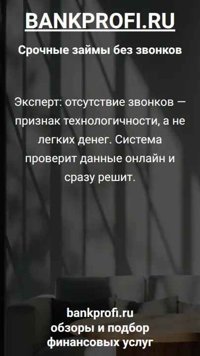 Эксперт: отсутствие звонков — признак технологичности, а не легких денег. Система проверит данные онлайн и сразу решит.