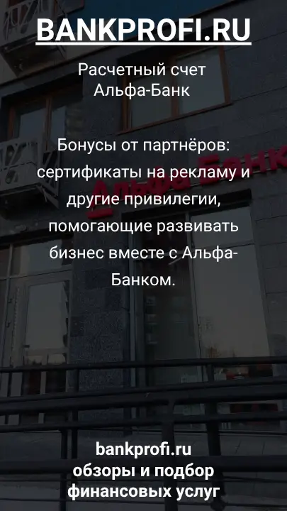 Бонусы от партнёров: сертификаты на рекламу и другие привилегии, помогающие развивать бизнес вместе с Альфа-Банком.