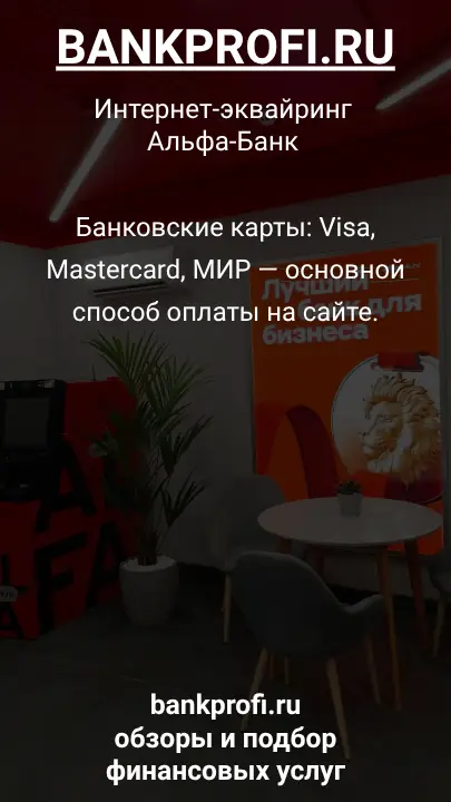 Банковские карты: Visa, Mastercard, МИР — основной способ оплаты на сайте.