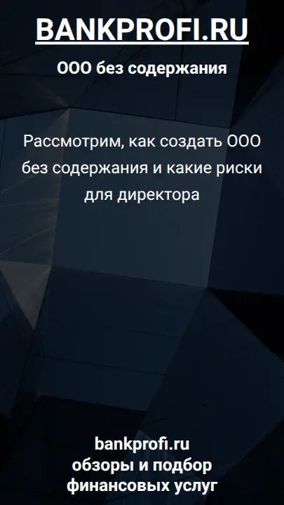 Рассмотрим, как создать ООО без содержания и какие риски для директора