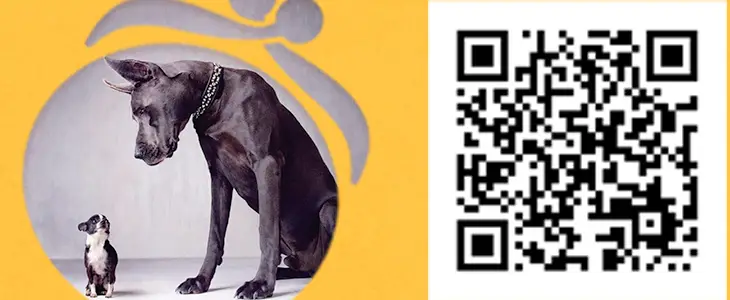 Личный кабинет Финтерра для оформления и продления займа, а также там вы можете и оплатить займ в Финтерра Личный кабинет Финтерра для оформления и продления займа, а также там вы можете и оплатить займ в Финтерра