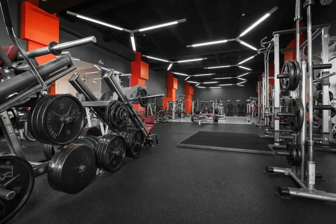 Оборудование фитнес клуба