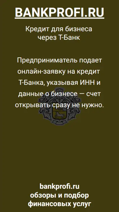 Предприниматель подает онлайн-заявку на кредит Т-Банка, указывая ИНН и данные о бизнесе — счет открывать сразу не нужно.