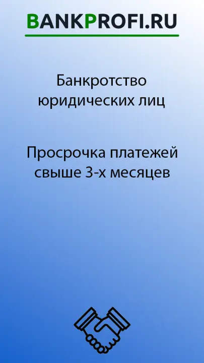 Просрочка платежей свыше 3 месяцев