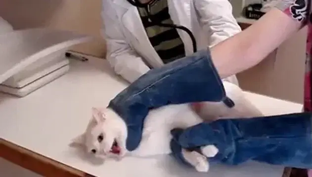 И будьте готовы к любым ситуациям