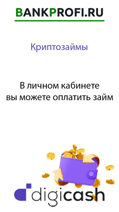 В личном кабинете вы можете оплатить займ