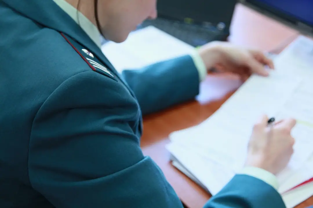 Налоговая проверка