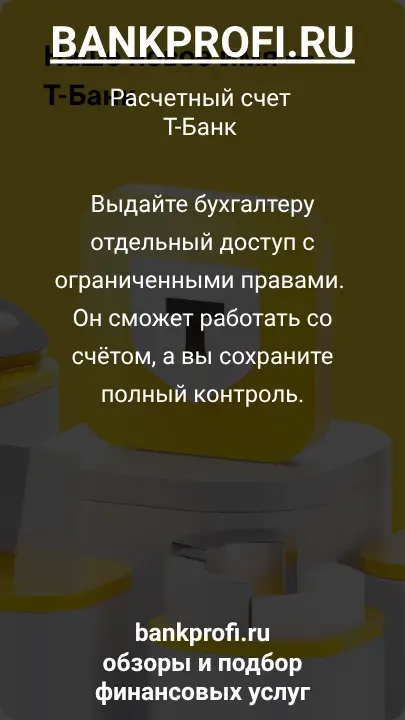 Выдайте бухгалтеру отдельный доступ с ограниченными правами. Он сможет работать со счётом, а вы сохраните полный контроль.