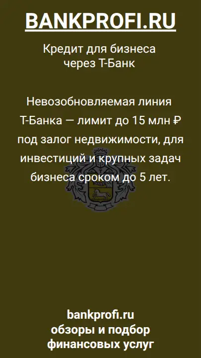 Невозобновляемая линия Т-Банка — лимит до 15 млн ₽ под залог недвижимости, для инвестиций и крупных задач бизнеса сроком до 5 лет.