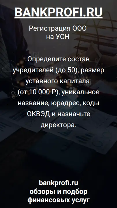 Определите состав учредителей (до 50), размер уставного капитала (от 10 000 ₽), уникальное название, юрадрес, коды ОКВЭД и назначьте директора.