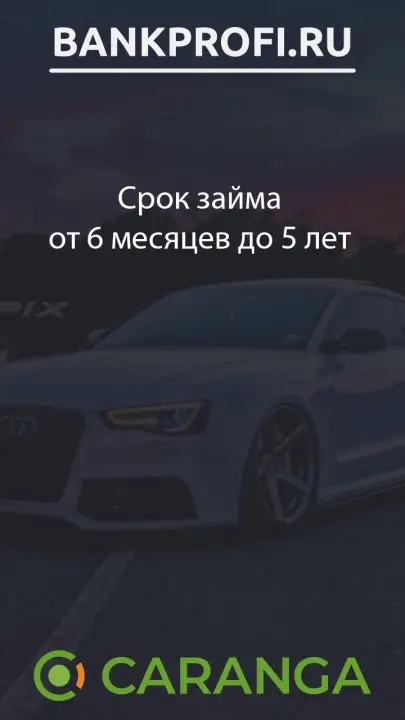 Срок займа от 6 месяцев до 5 лет