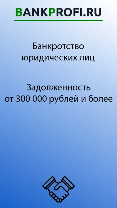 Задолженность от 300 000 рублей и более