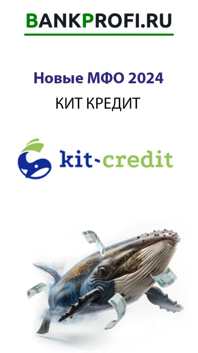 Новая МФО Кит Кредит 2024 Новая МФО Кит Кредит 2024