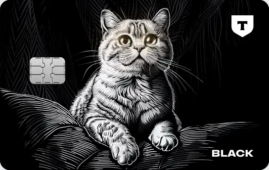 Карта с котом Карта с котом