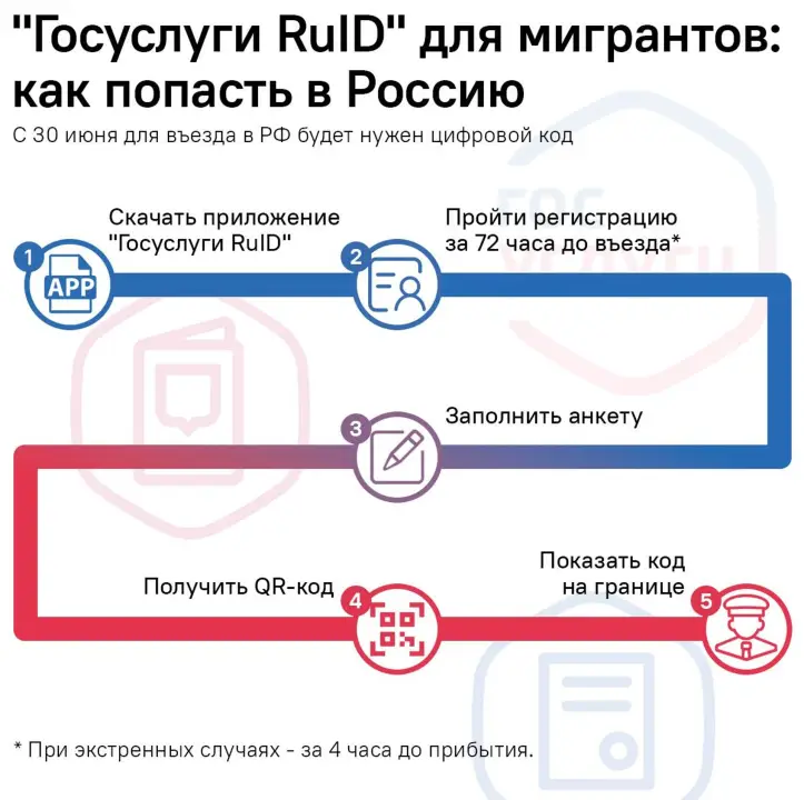 Цифровой профиль, ruID