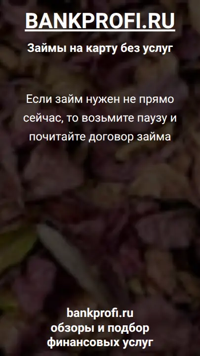 Если займ нужен не прямо сейчас, то возьмите паузу и почитайте договор займа