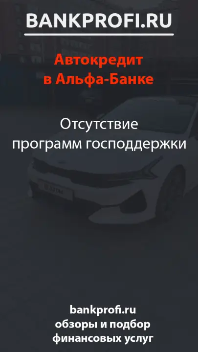 Отсутствие программ господдержки