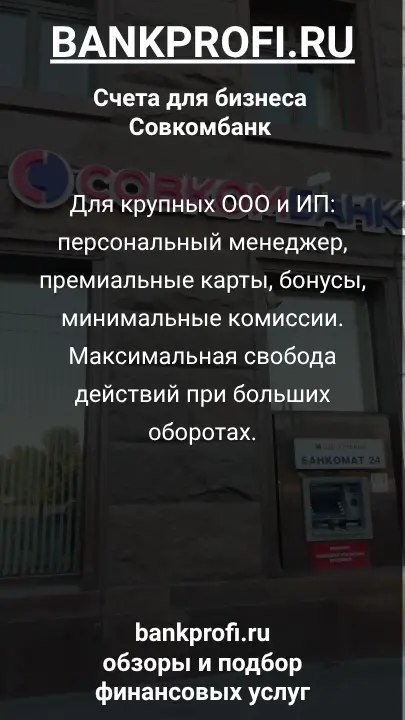 Для крупных ООО и ИП: персональный менеджер, премиальные карты, бонусы, минимальные комиссии. Максимальная свобода действий при больших оборотах.