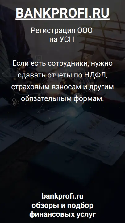 Если есть сотрудники, нужно сдавать отчеты по НДФЛ, страховым взносам и другим обязательным формам.