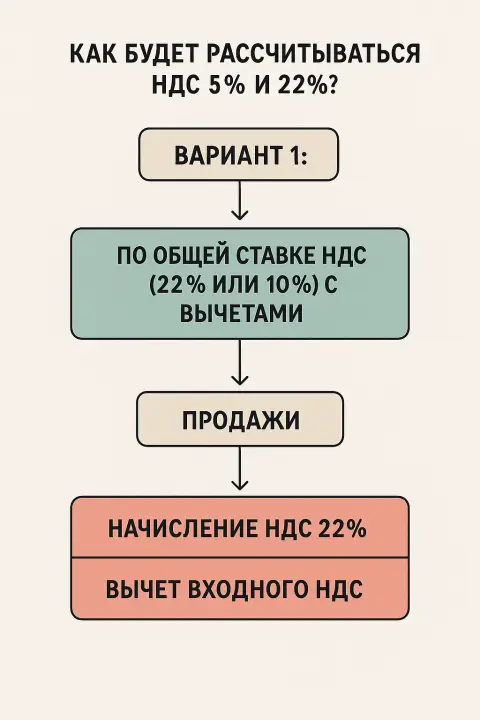 Как будет рассчитываться НДС для ИП в 2026 году, вариант 1. По общей ставке